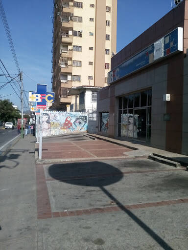 banco Banco Fondo Común (Bfc)