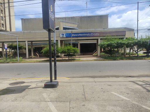 Banco Banco Nacional De Crédito
