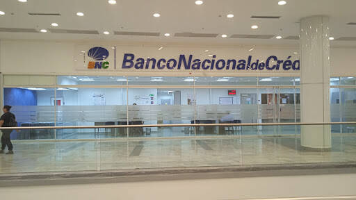 Banco Bnc National Bank Credit, C.A.