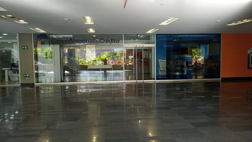 Banco National Bank Of Credit